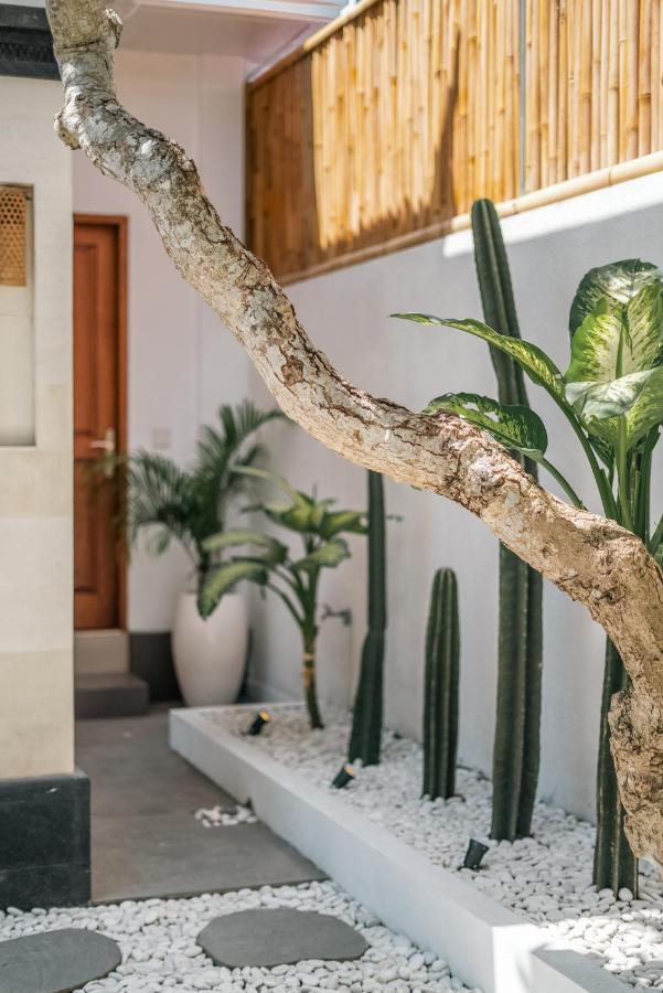 3br Tropical Vibes ! * Canggu